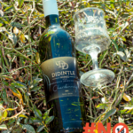 Didintle Wines Chardonnay_10 tagged
