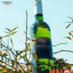 Didintle Wines Chardonnay_2 tagged