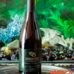 Didintle Wines Syrah_4 tagged